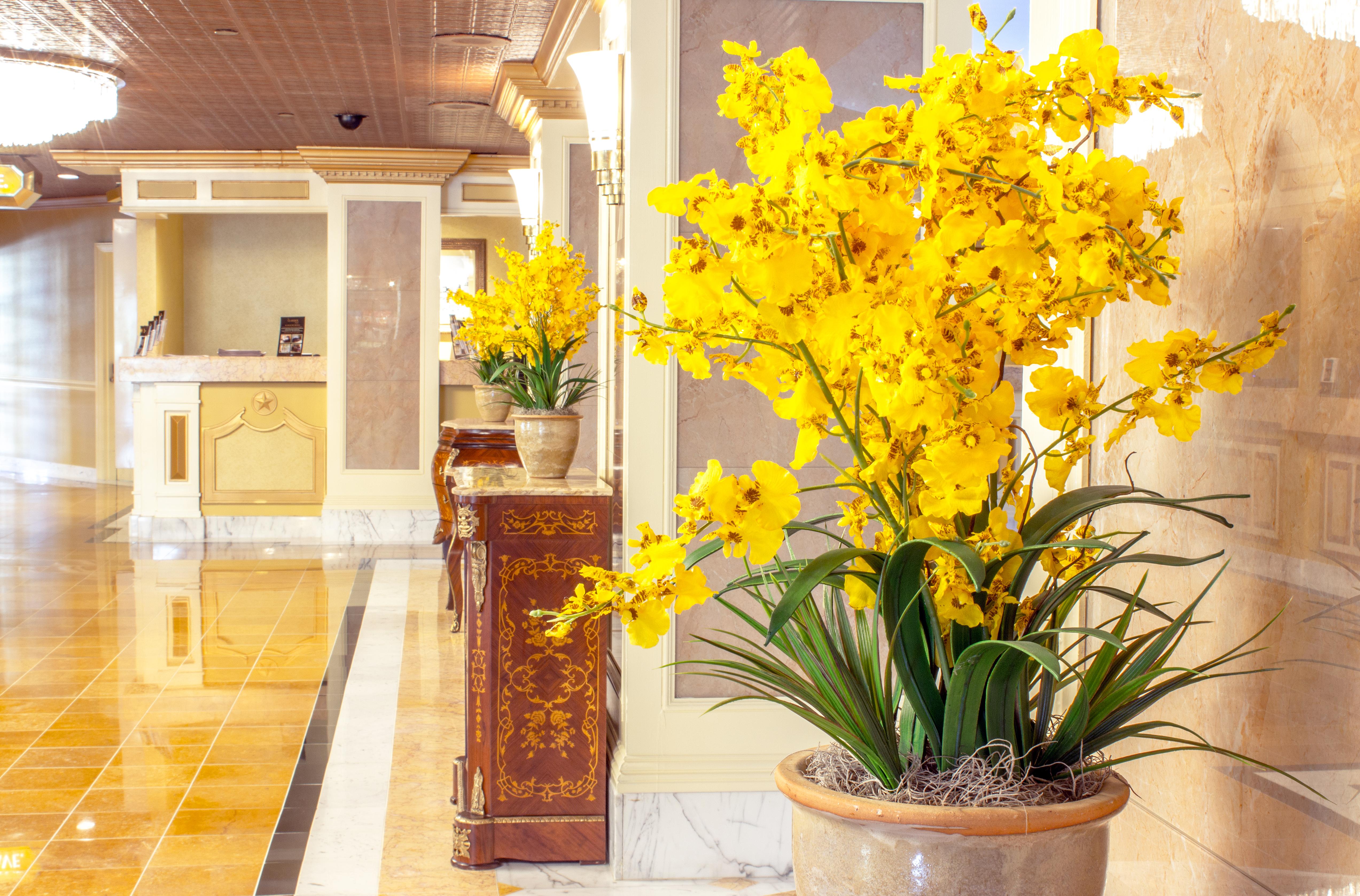 The Claridge Hotel Atlantic City
