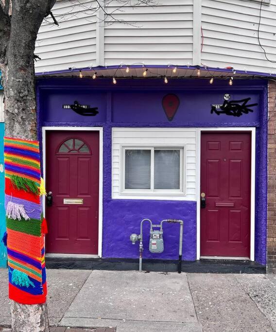 The Amazing Artist Oasis Apartment