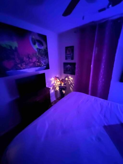 The Amazing Artist Oasis Apartment *