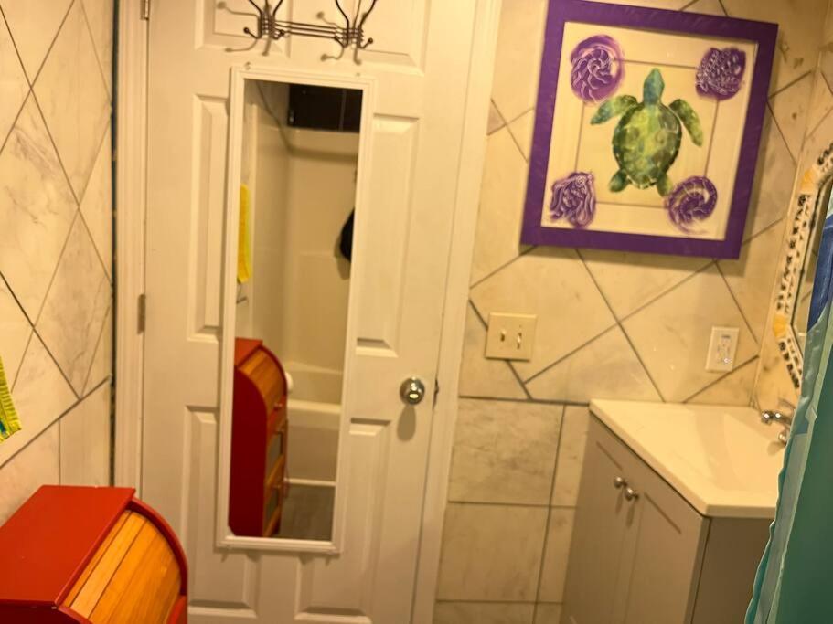 The Amazing Artist Oasis Apartment