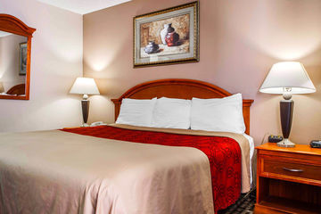 Lodge Econo