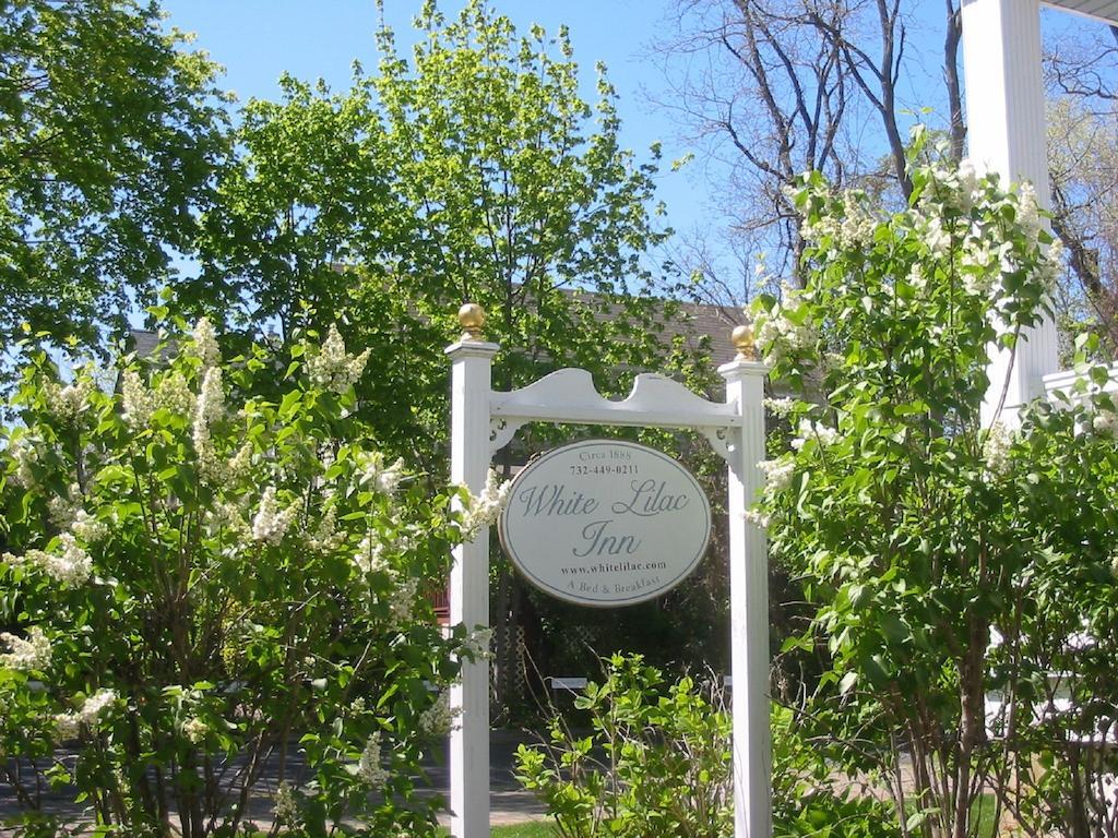 White Lilac Bed & Breakfast Spring Lake