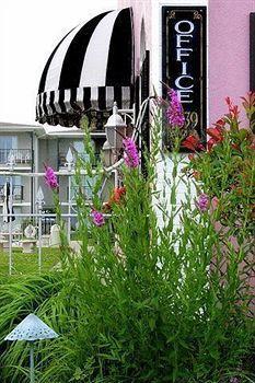 Periwinkle Cape May