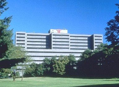 Apa Woodbridge Hotel 4*
