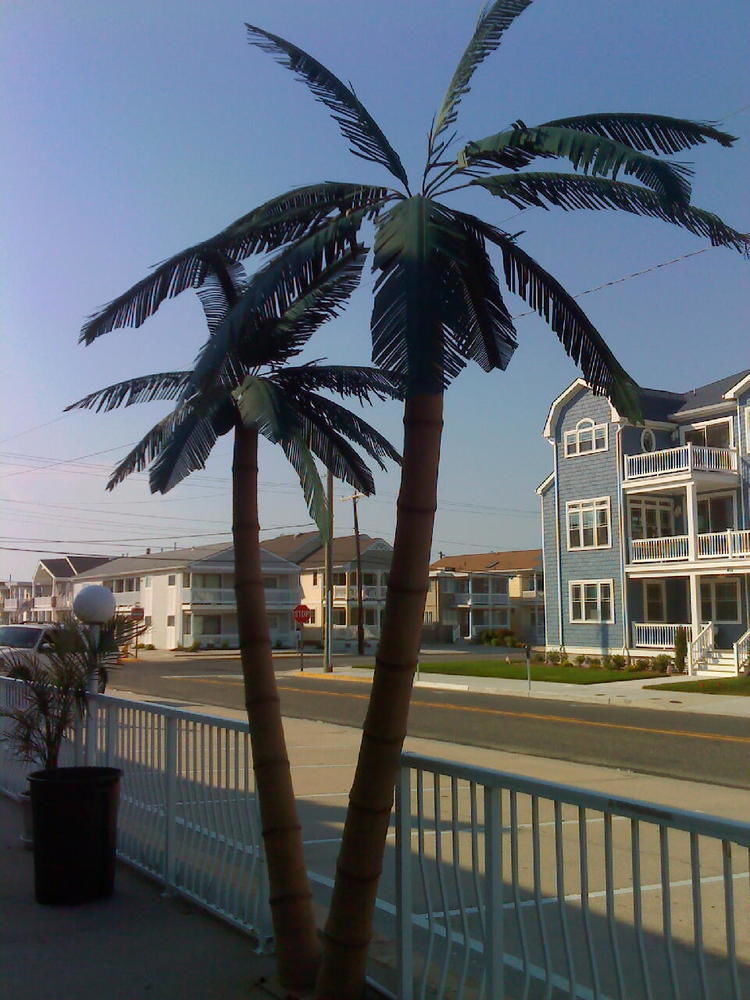 Motel Granada Ocean