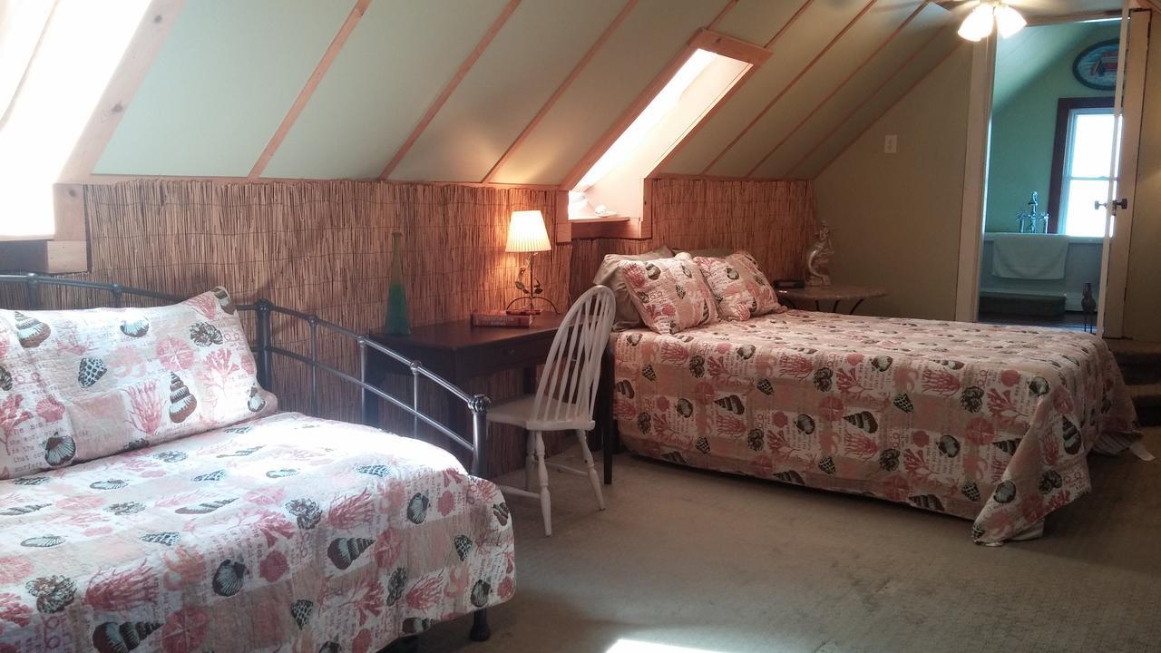 Bed & Breakfast The Island Guest House Bed And Breakfast