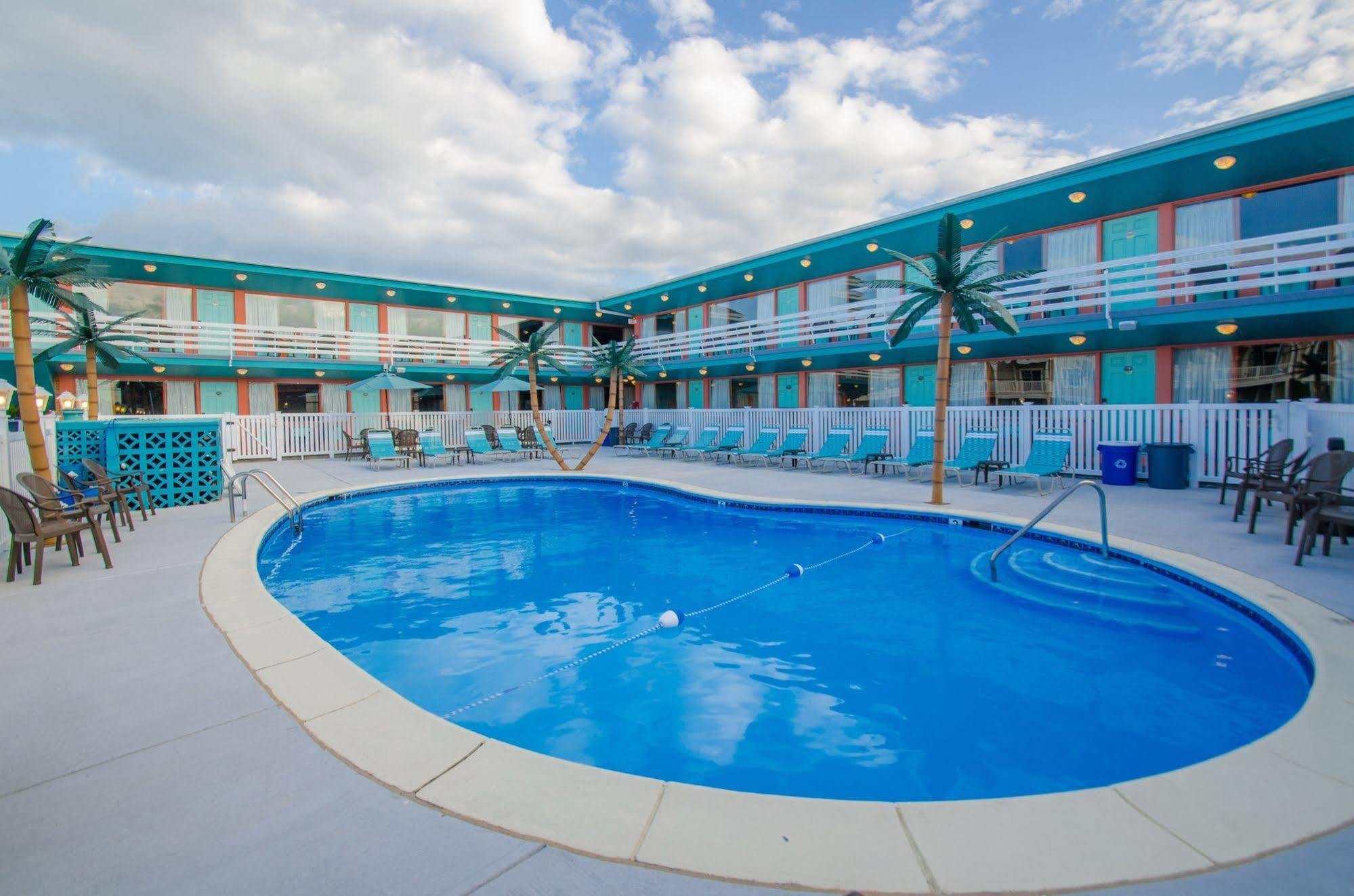 Dolphin Wildwood