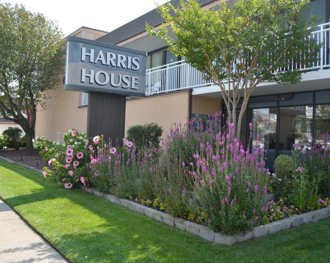 Motel Harris House By The 2*
